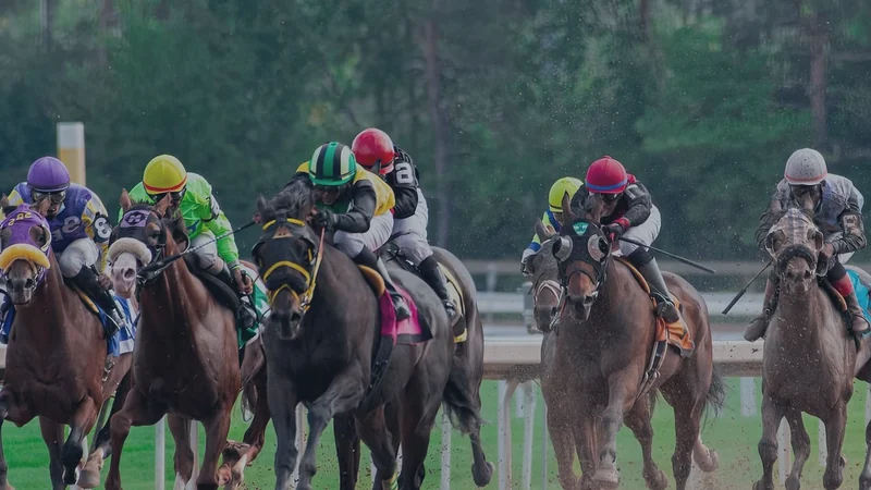 A retail wagering terminal screen in an Australian agency, a numbers draw display beside an animated race feed.
