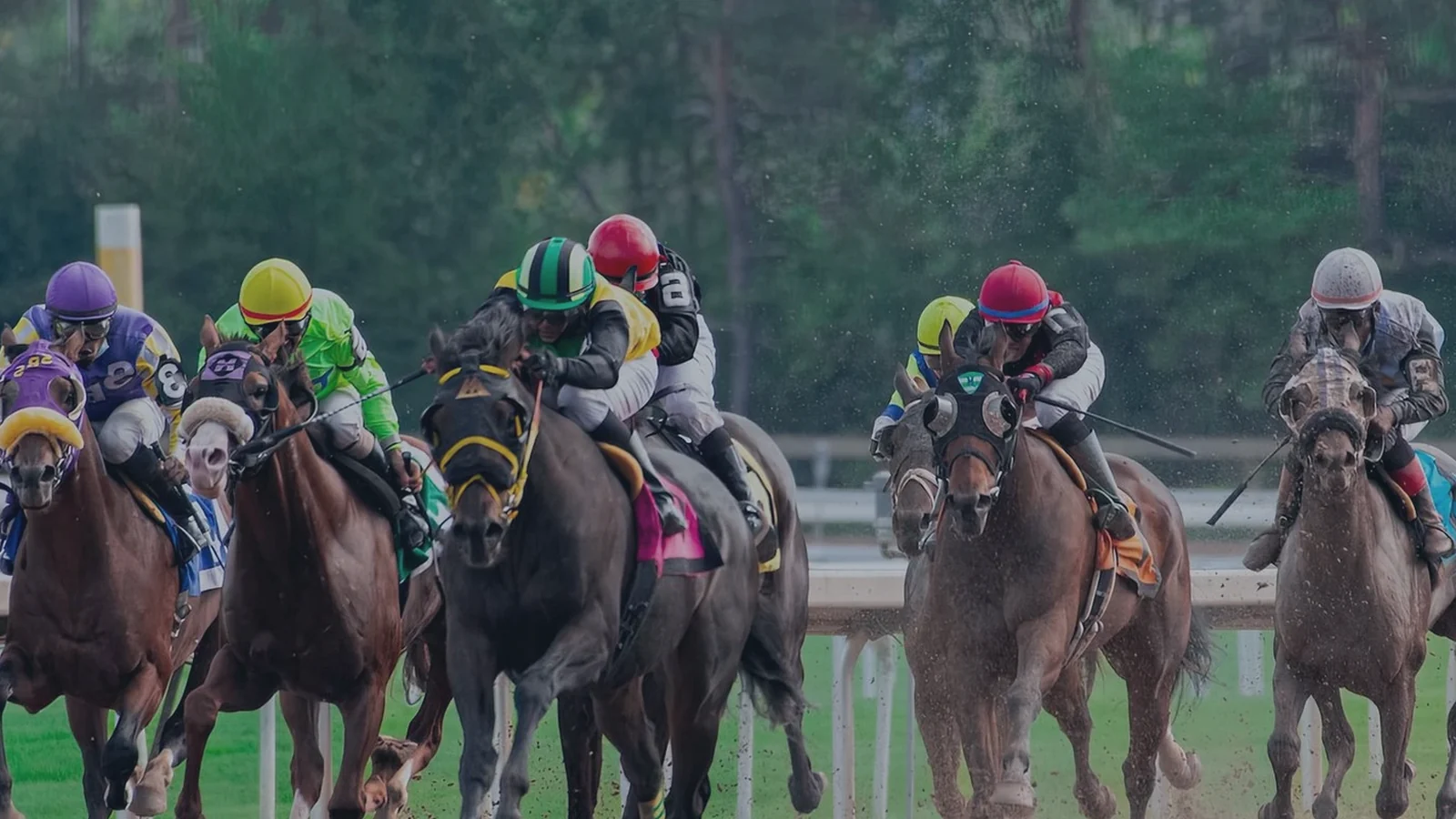 A retail wagering terminal screen in an Australian agency, a numbers draw display beside an animated race feed.