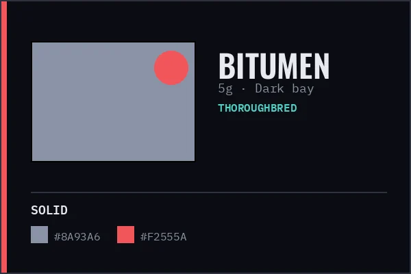 Generated livery card for Bitumen — solid slate grey with a red cap, over a dark bay coat swatch.