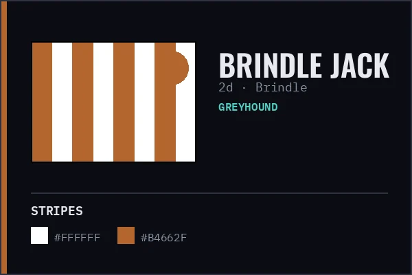 Generated livery card for Brindle Jack — white and ochre stripes with an ochre cap, over a brindle coat swatch.