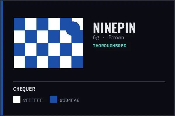 Generated livery card for Ninepin — white and blue chequer with a blue cap, over a brown coat swatch.