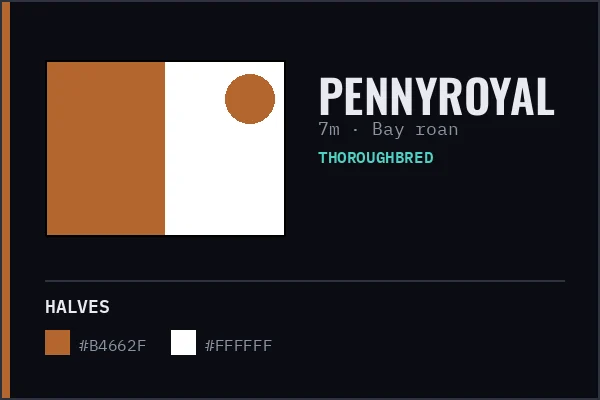 Generated livery card for Pennyroyal — ochre and white halves with an ochre cap, over a bay roan coat swatch.