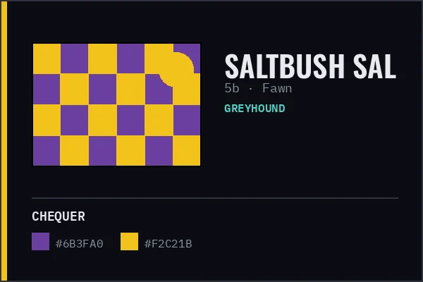 Generated livery card for Saltbush Sal — purple and yellow chequer with a yellow cap, over a fawn coat swatch.